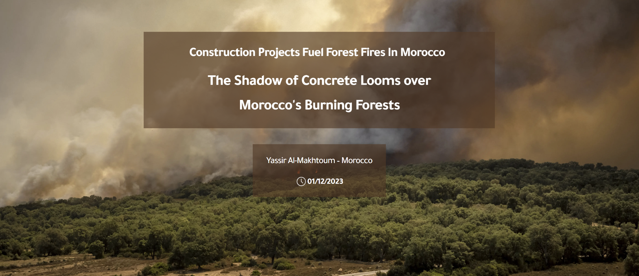 Construction Projects Fuel Forest Fires In Morocco.. The Shadow of Concrete Looms over Morocco's Burning Forests