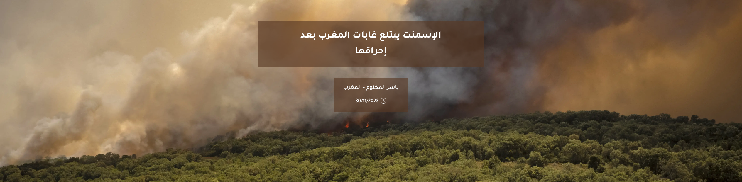 الإسمنت يبتلع غابات المغرب بعد إحراقها