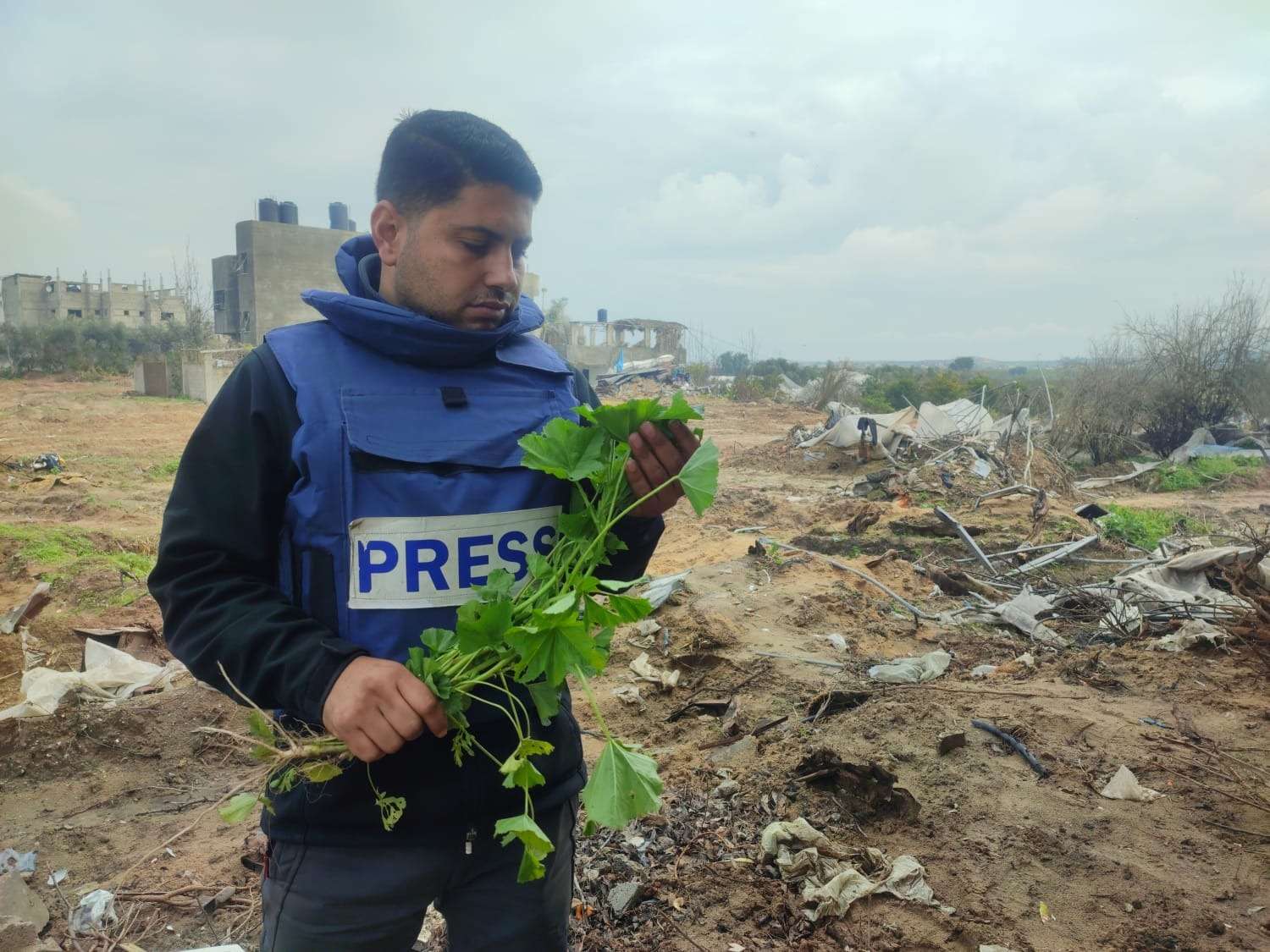 Basel Khair Al-Din’s instagram post from February 18, 2024: “I didn’t know this photo would be the last one until we were targeted by a drone strike in the residential area of Sakanet Fado’us north of the town of Beit Lahia, while preparing a report on collecting herbs to stop child hunger. Thank God, we survived this time too.” (Credit: Moumen Khair Al-Din)