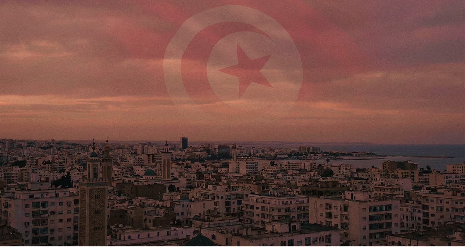Investigation Main Banner (Tunisia)