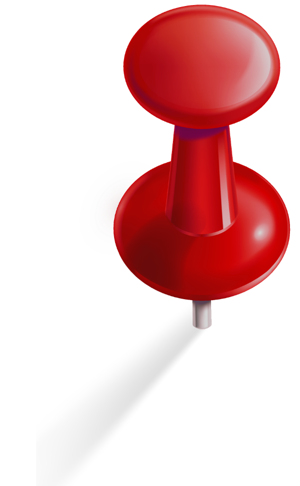 Pin Icon