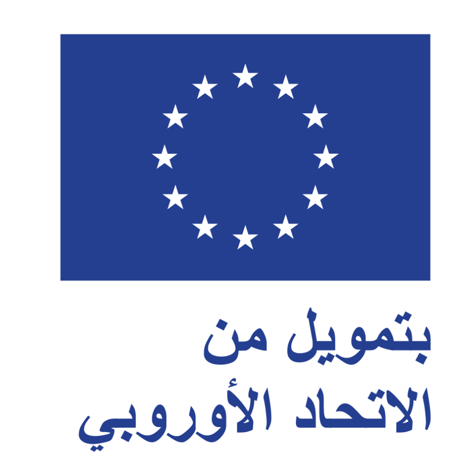 EU Logo