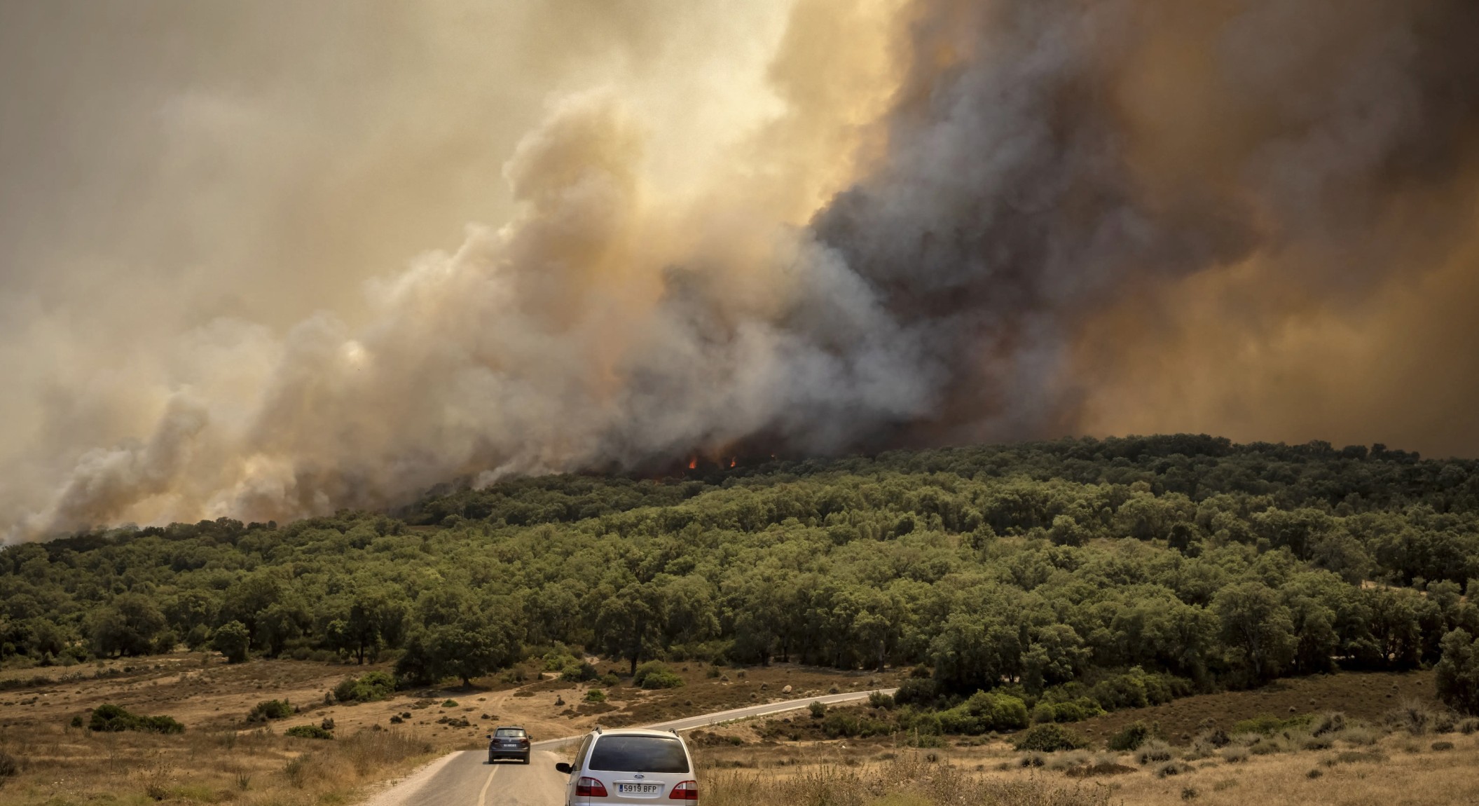 Construction Projects Fuel Forest Fires In Morocco.. The Shadow of Concrete Looms over Morocco's Burning Forests