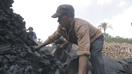أثناء عملية تعبئة للفحم بعد انتهاء حرقه (8)