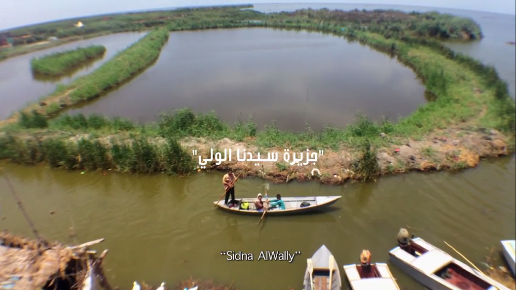 جزيرة سيدنا الولي.. 5 آلاف مصري خارج التغطية